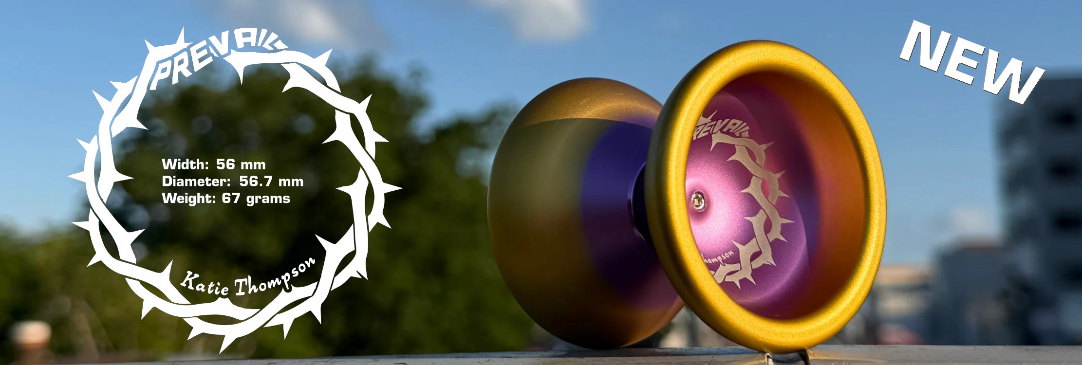 Master the Art of Spin